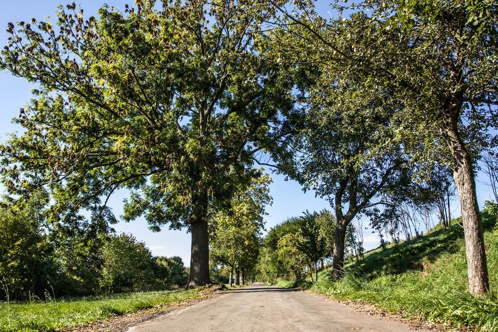 Landhotel Gutshof Hartenstein  Pokoj fotografie