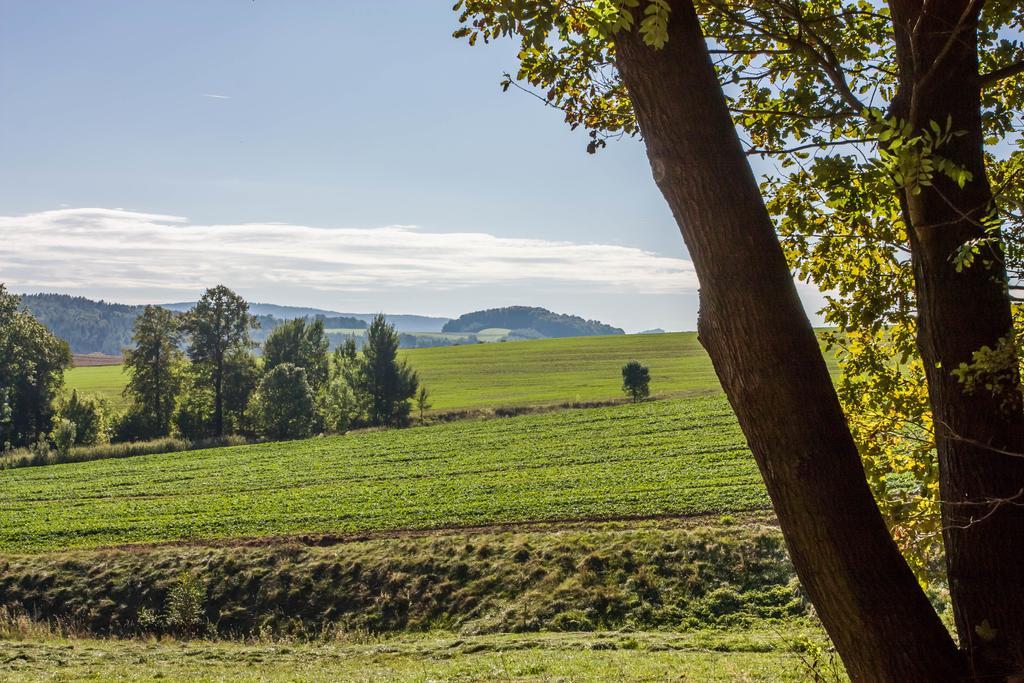 Landhotel Gutshof Hartenstein  Pokoj fotografie