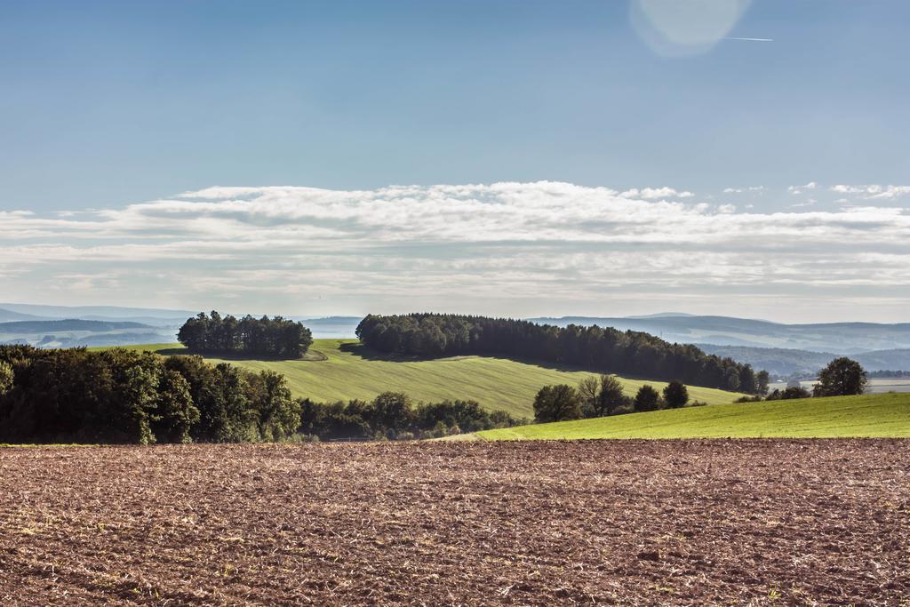Landhotel Gutshof Hartenstein  Exteriér fotografie